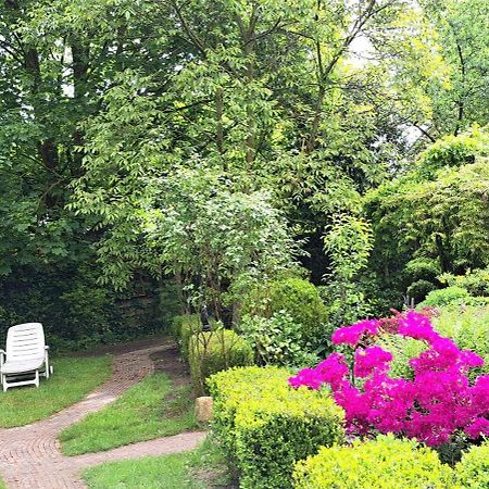 Guesthouse Vakantiehuis In Een Mooie Tuin In Het Centrum Van Zuidlaren! エクステリア 写真