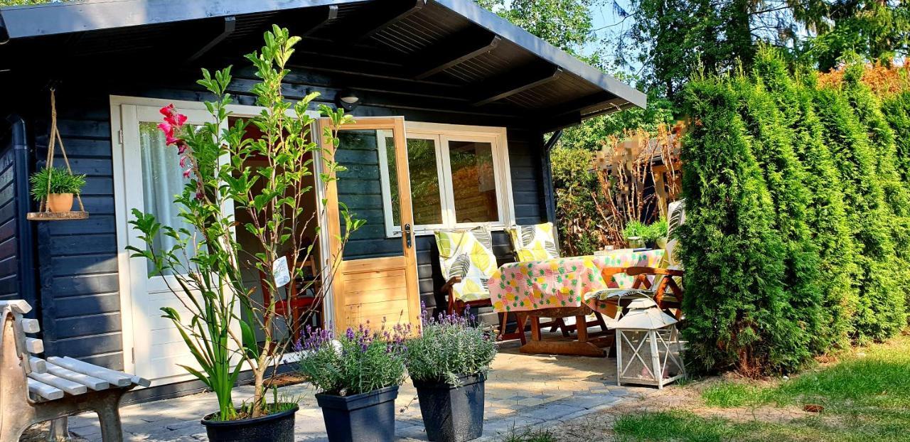 Guesthouse Vakantiehuis In Een Mooie Tuin In Het Centrum Van Zuidlaren! エクステリア 写真