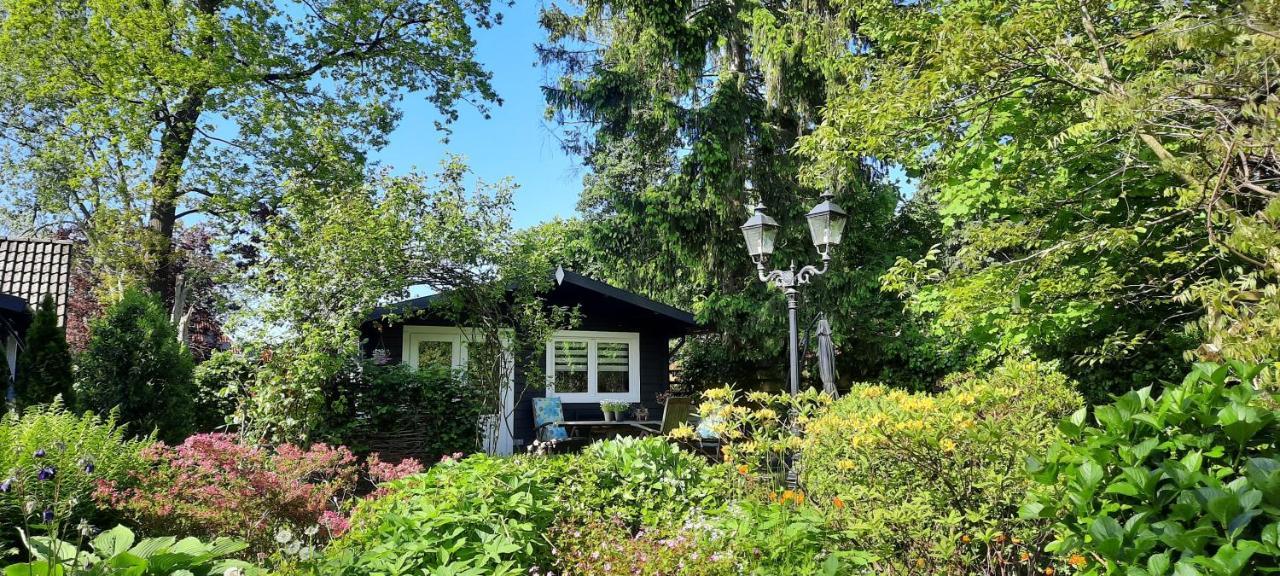 Guesthouse Vakantiehuis In Een Mooie Tuin In Het Centrum Van Zuidlaren! エクステリア 写真